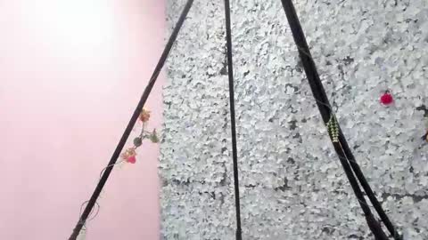 Snapshot of melodyy_28 chatting on December 2025 01:52:02 PM melodyy_28 online show from December 2025 01:52:02 PM