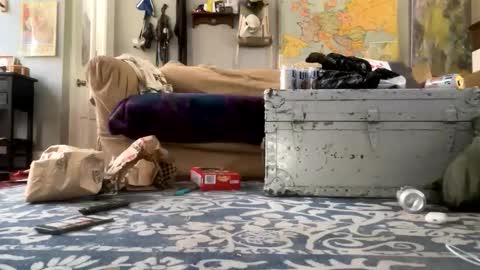 melt13 online show from April 2026 02:45:02 PM