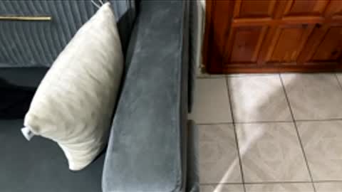 Chucky1200 online show from February 2026 08:42:02 PM