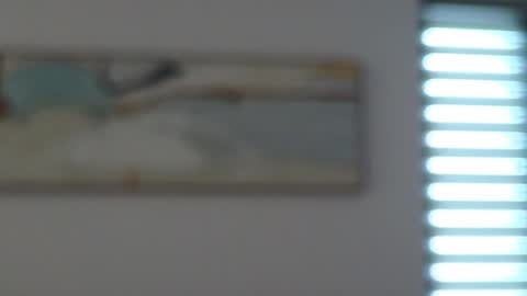 Mencialo online show from May 2026 04:39:02 AM