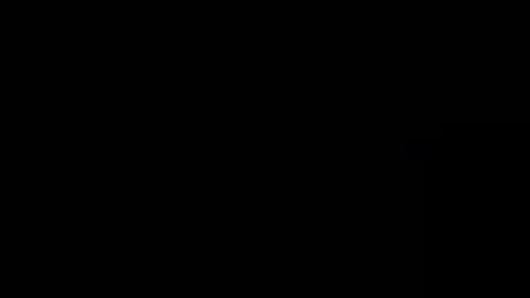 Toro loco online show from September 2025 09:16:02 PM