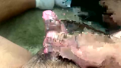 Snapshot of mendezjesus1215 chatting on March 2026 09:31:01 PM Toro loco online show from March 2026 09:31:01 PM