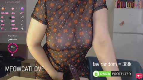 meowcatlove online show from January 2025 08:00:01 PM