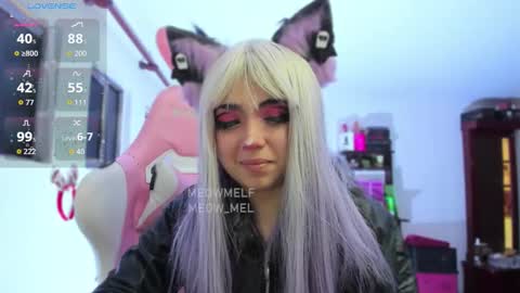 meowmelf online show from January 2026 07:41:02 PM