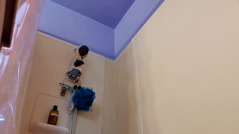 Snapshot of merelyalover chatting on January 2025 05:59:02 PM gurlnips online show from January 2025 05:59:02 PM