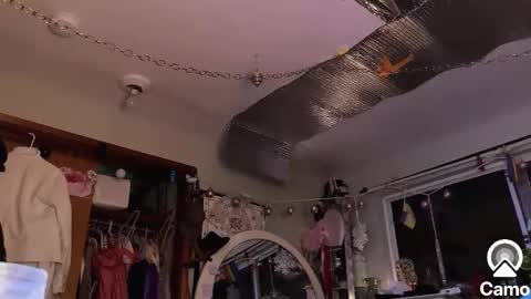 Snapshot of merelyalover chatting on January 2025 02:06:01 AM gurlnips online show from January 2025 02:06:01 AM