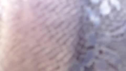 Merloth online show from December 2024 06:12:02 AM