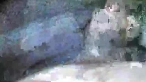 mexianthehawk online show from September 2025 09:09:02 PM