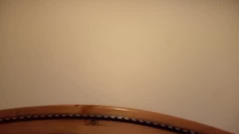 mhorny5 online show from September 2025 08:41:02 PM