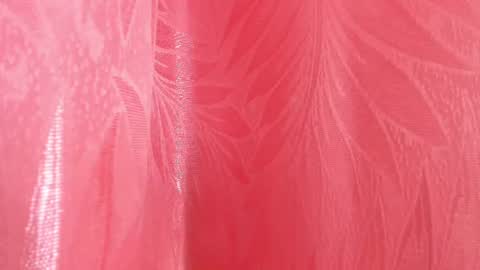 mia_nova5 online show from July 2026 11:50:01 AM