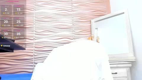 Snapshot of mia_pineda chatting on January 2025 05:41:02 AM Mariana online show from January 2025 05:41:02 AM