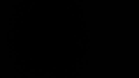 MIA  online show from February 2026 12:39:02 AM