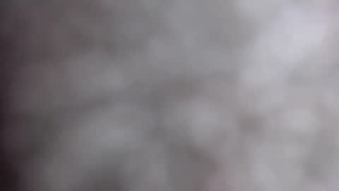 Snapshot of miahlove3x chatting on October 2025 04:59:02 AM MiahLove31 online show from October 2025 04:59:02 AM