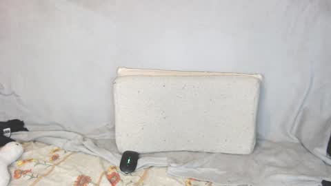 Snapshot of michael_danymans chatting on October 2025 11:46:01 PM Michael online show from October 2025 11:46:01 PM