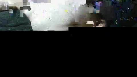 michaelspice online show from September 2025 04:50:02 PM