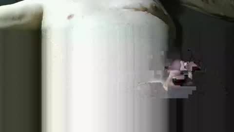 michaelspice online show from December 2025 07:10:01 PM