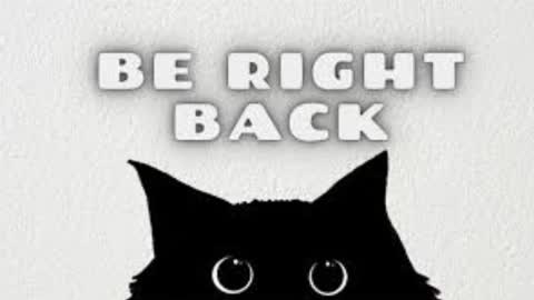 Snapshot of michelleevie chatting on March 2026 09:11:01 PM Agatha online show from March 2026 09:11:01 PM