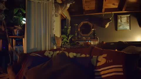 Hey Mickey online show from December 2024 10:57:02 PM