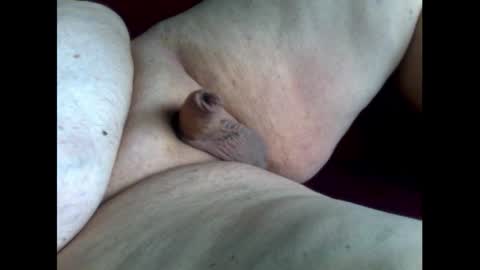 Snapshot of micropimmel chatting on October 2025 01:31:02 PM micropimmel online show from October 2025 01:31:02 PM