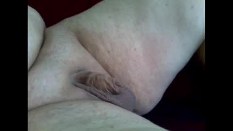 Snapshot of micropimmel chatting on November 2025 01:02:01 PM micropimmel online show from November 2025 01:02:01 PM