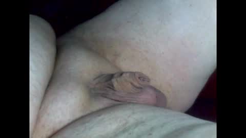 Snapshot of micropimmel chatting on February 2026 08:30:01 PM micropimmel online show from February 2026 08:30:01 PM