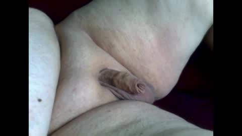 micropimmel online show from June 2026 12:33:02 PM