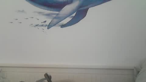 Snapshot of midhir chatting on January 2025 07:15:01 PM kike online show from January 2025 07:15:01 PM