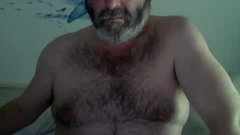 Snapshot of midhir chatting on January 2025 06:39:01 PM kike online show from January 2025 06:39:01 PM