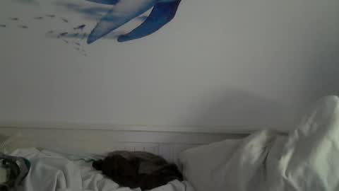 Snapshot of midhir chatting on January 2025 04:59:02 PM kike online show from January 2025 04:59:02 PM