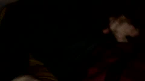 midiin online show from December 2024 05:39:02 AM