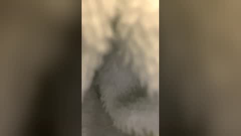 mig26472 online show from February 2026 05:04:01 AM