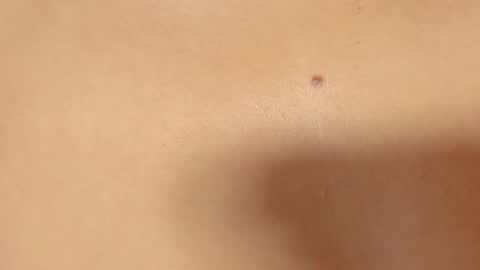 Scarlett online show from March 2025 12:22:02 AM