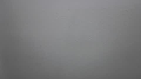 mikehannigan123 online show from February 2026 04:47:01 PM