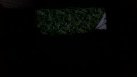 Snapshot of mikellangelo1 chatting on October 2025 01:59:02 AM MICHAEL MOTORCYCLE online show from October 2025 01:59:02 AM