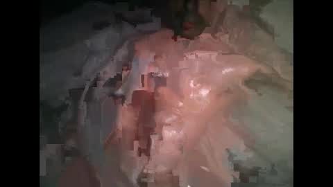 MR-Michael Horse online show from January 2025 03:12:02 AM