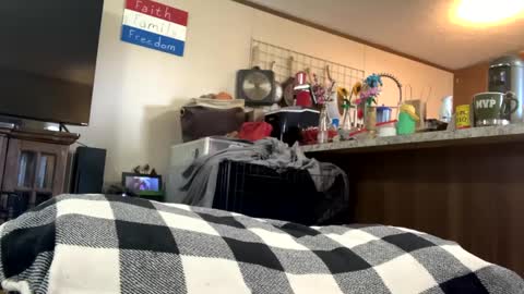 mikeylikesit2222 online show from September 2025 08:23:02 PM