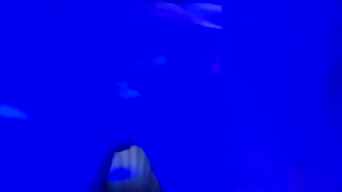 Snapshot of mikie19891 chatting on November 2025 03:01:02 AM mikie19891 online show from November 2025 03:01:02 AM