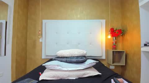          online show from February 2026 08:31:02 PM