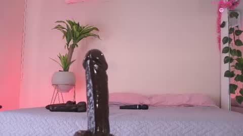    online show from June 2026 02:38:01 PM