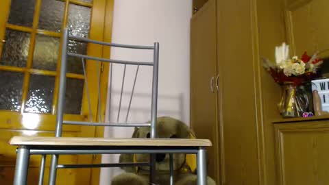 Im  to see you here Pvts are open  I love patterns soo much online show from December 2024 06:11:02 AM