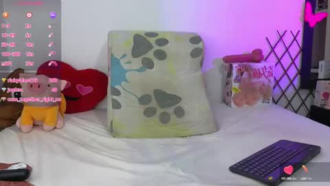 H A R O L D online show from February 2025 08:51:02 AM