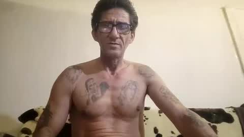 milojkolud online show from February 2025 12:40:01 AM