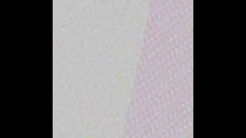 milojkolud online show from February 2025 02:26:02 PM