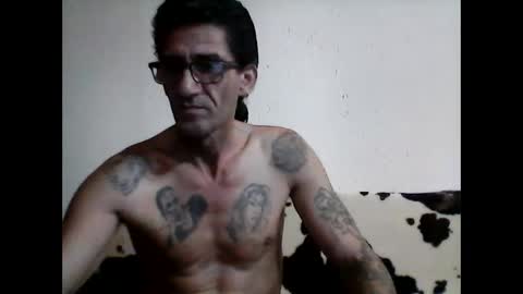 milojkolud online show from February 2025 11:12:02 AM