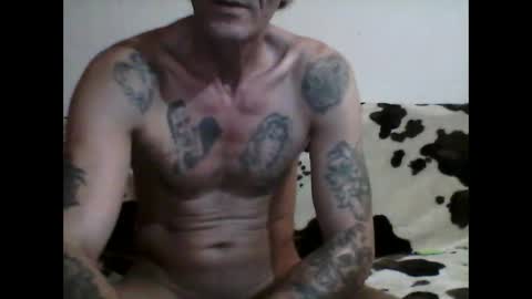 milojkolud online show from February 2025 07:45:02 PM