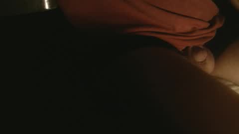 mini4in online show from September 2025 12:40:01 PM