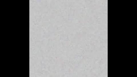 miniorganismo online show from December 2025 11:09:01 PM