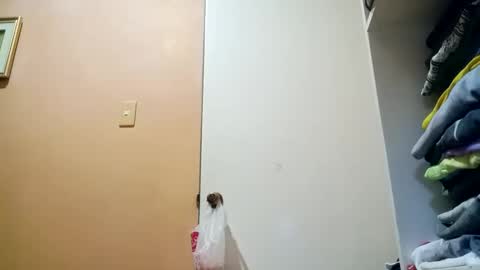 Snapshot of mirana_xxx chatting on October 2025 10:43:02 PM Im Ping online show from October 2025 10:43:02 PM