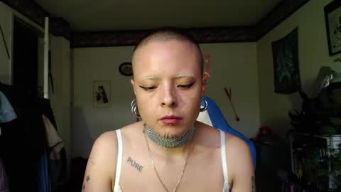 Anarkitten  online show from October 2025 09:48:02 PM