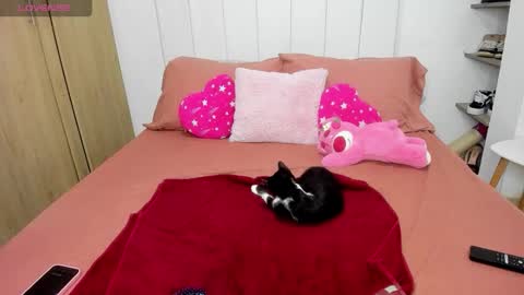 Snapshot of missangeldust chatting on November 2025 12:41:02 PM missangeldust online show from November 2025 12:41:02 PM